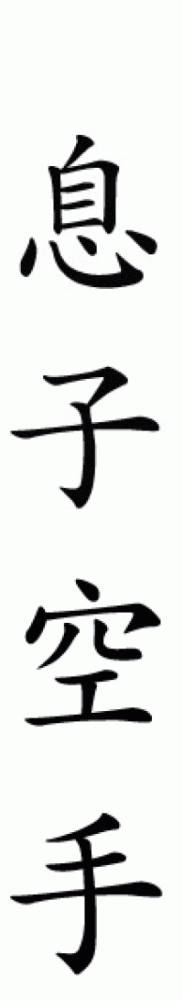 Musuko Karate