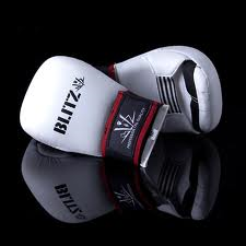 Sparring Mitts
